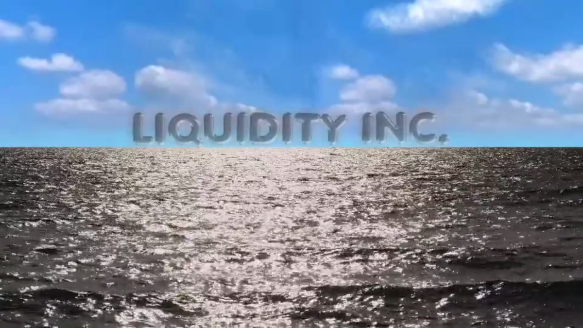 Hito Steyerl Liquidity Inc 2015